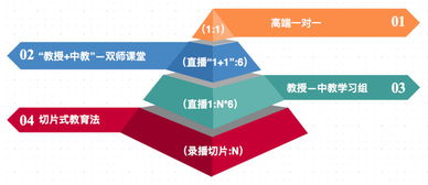 背景提升新視野 從STEAM素拓到生涯規劃，SA特優生定義未來競爭力